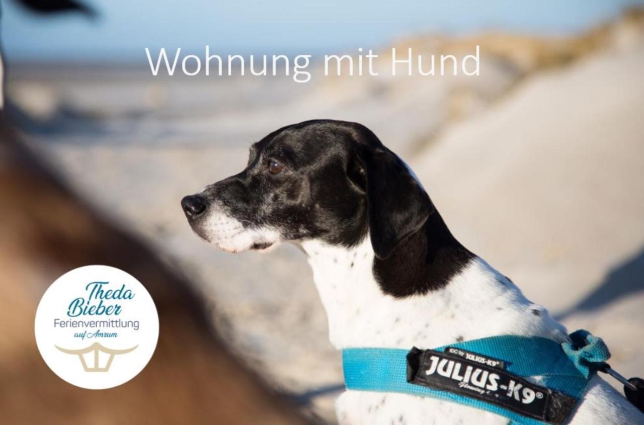 Haus Watthus - Wohnung Paradies نيبل المظهر الخارجي الصورة